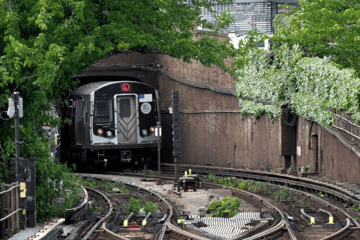 Newsletter Image Template (33)-1