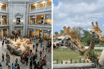 Zoos and Museums